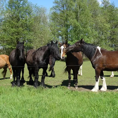 Ferienbauernhof - 6 * Grunow (Mecklenburg-Vorpommern)
