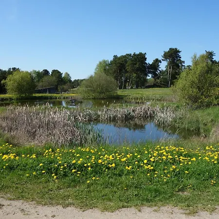 Ferienbauernhof - 6 Apartment *