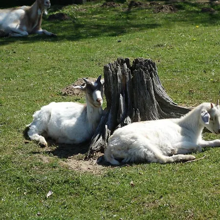 Ferienbauernhof - 6 Apartment Grunow (Mecklenburg-Vorpommern)